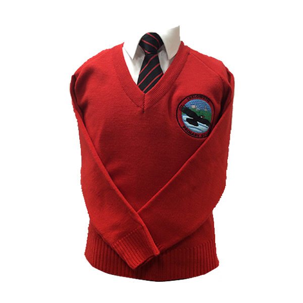 Treloweth Primary School V-Neck Jumper - Trophy Textiles SW Limited